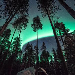 国产乡下三级全黄三级
